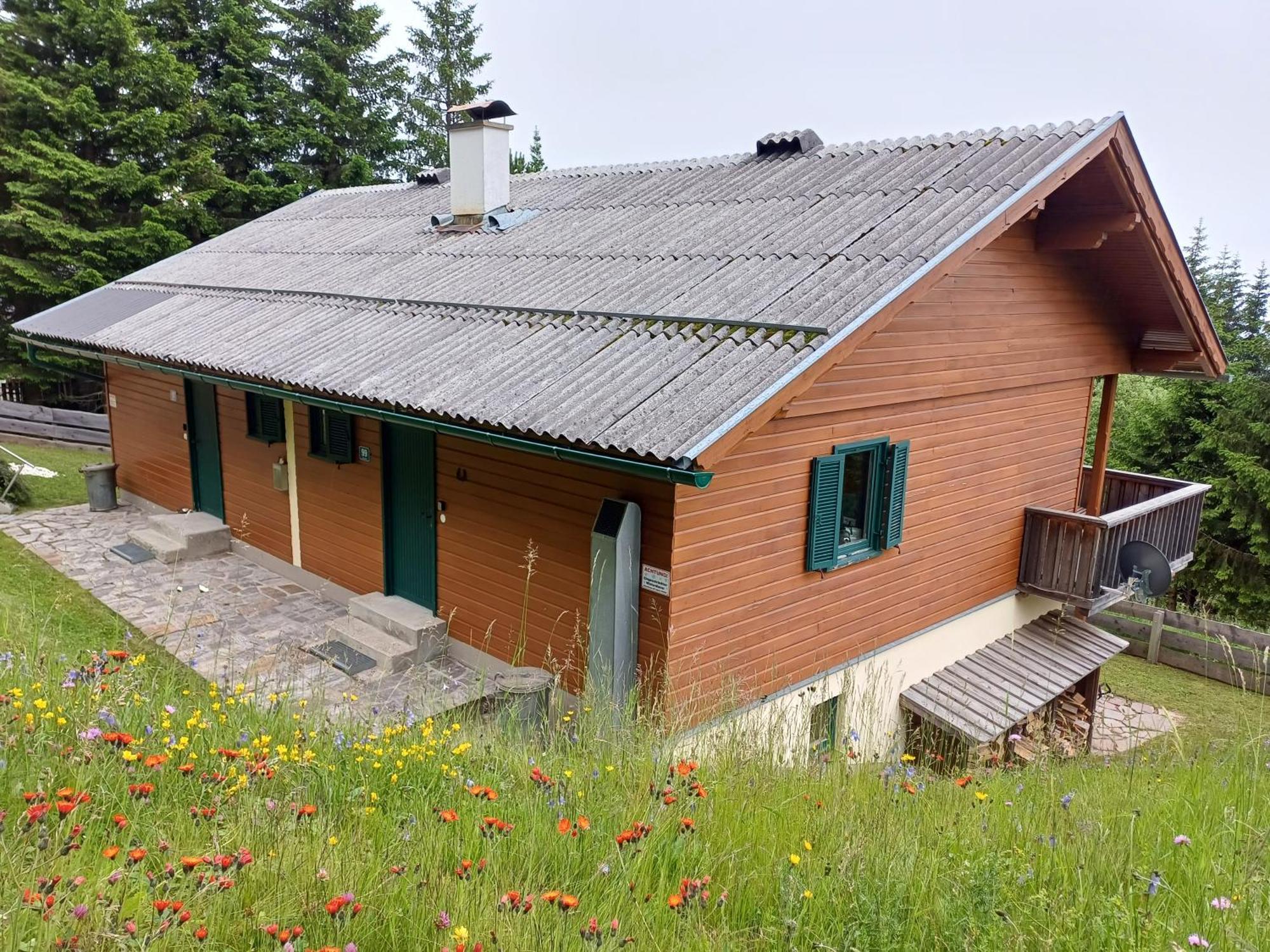 Apartament Almzeit Klippitz Klippitztorl Zewnętrze zdjęcie