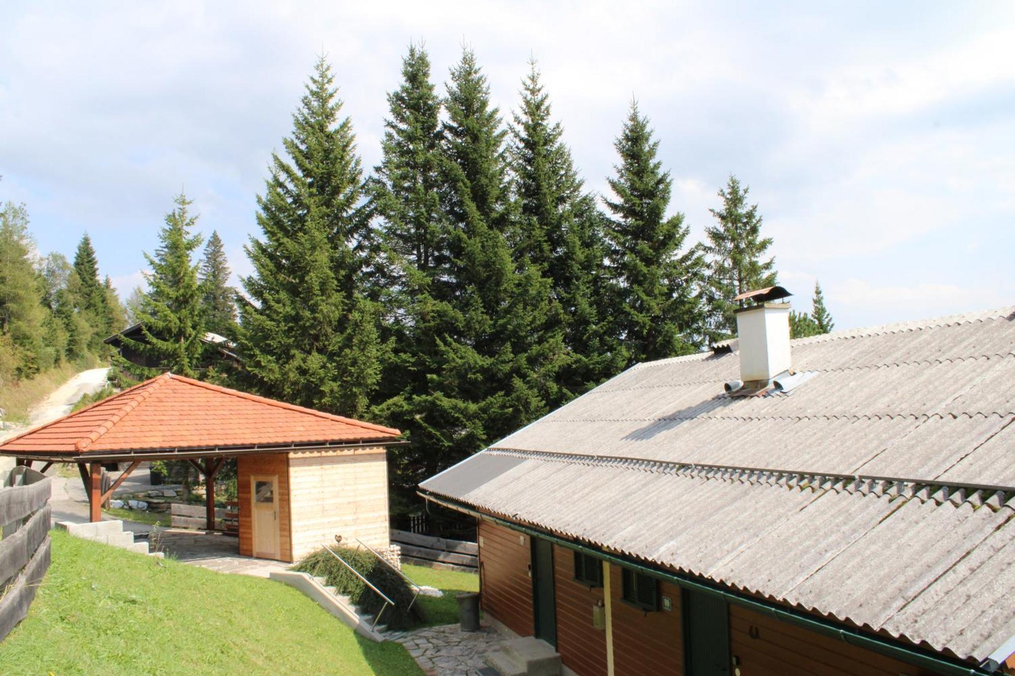 Apartament Almzeit Klippitz Klippitztorl Zewnętrze zdjęcie