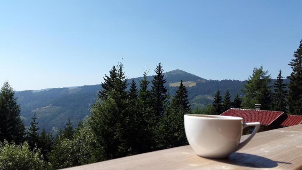 Apartament Almzeit Klippitz Klippitztorl Zewnętrze zdjęcie